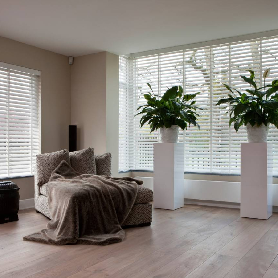Witte houten jaloezieën in woonkamer met grote planten