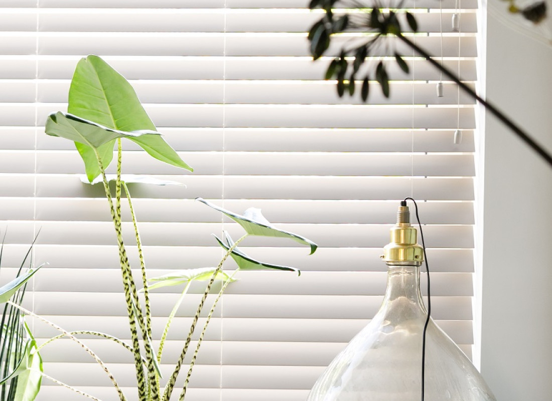 Blinds Schiedam